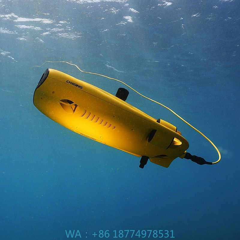 アルヴァージュ 救助装備 水泳可能 ダイビングギア アクセサ - Fishing Equipment のレビューと価格
